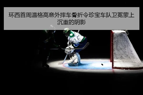 huan-xi-shou-zhou-wen-ge-gao-yi-wai-shuai-che-gu-zhe-ling-zhen-bao-che-dui-wei-mian-meng-shang-chen-zhong-de-yin-ying-2-209.jpg